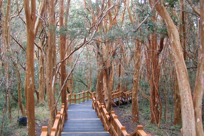 Arrayanes Forest With Victoria Island - Ratings and Feedback