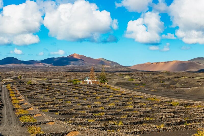 Arrecife: Timanfaya and Green Lagoon for Cruise Passengers - Inclusions and Meeting Point