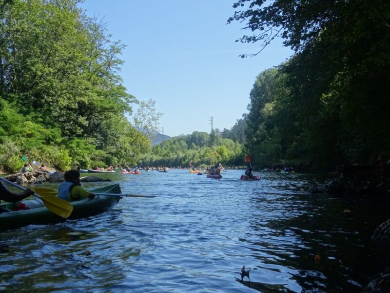 Arriondas: Canoeing Adventure Descent on the Sella River - What to Bring