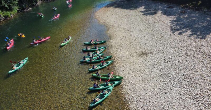 Arriondas: Descent of the Sella River in a Canoe - Pricing and Availability