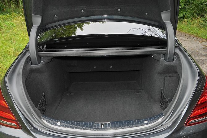Arrival From Basel Airport BSL to Basel City by Luxury Vehicle - Luggage Allowance