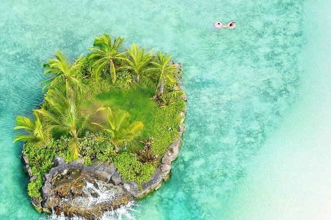 Arrival From Honolulu Airport HNL to Beach Resorts by Luxury Car - Booking Requirements and Details