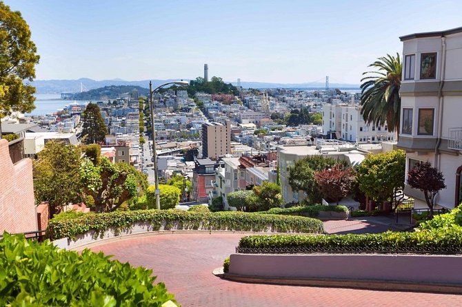 Arrival Private Transfer: Airport SFO to San Francisco in Luxury Car - Inclusions