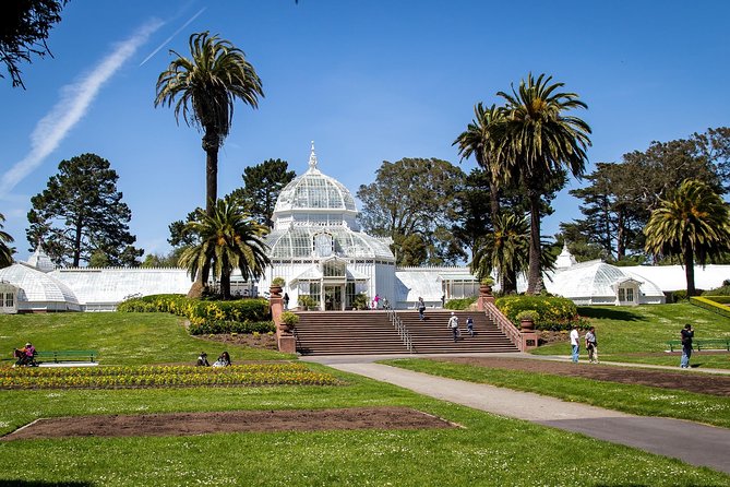 Arrival Private Transfer: Airport SFO to San Francisco in Luxury Car - Benefits of Arrival Private Transfer