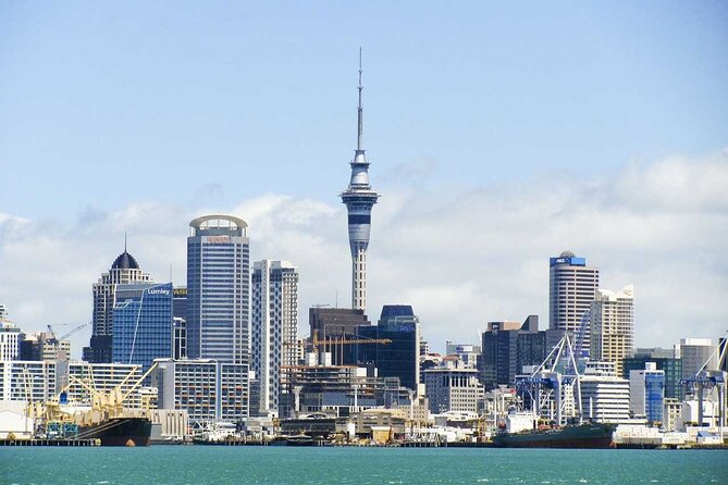 Arrival Private Transfer From Auckland Airport AKL to Auckland in Business Car - Pickup and Drop-off Information