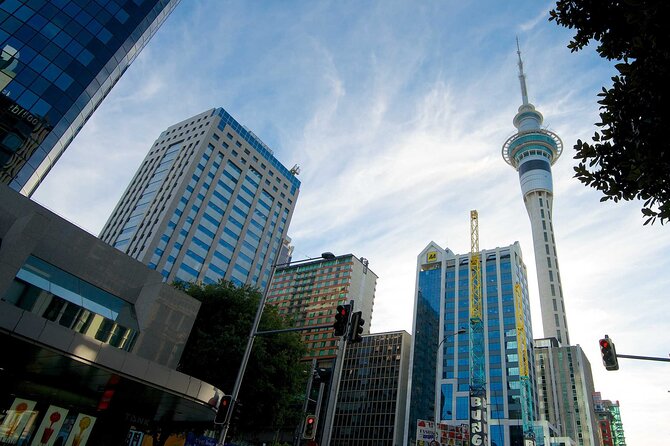 Arrival Private Transfer From Auckland Airport AKL to Auckland in Luxury Van - Inclusions
