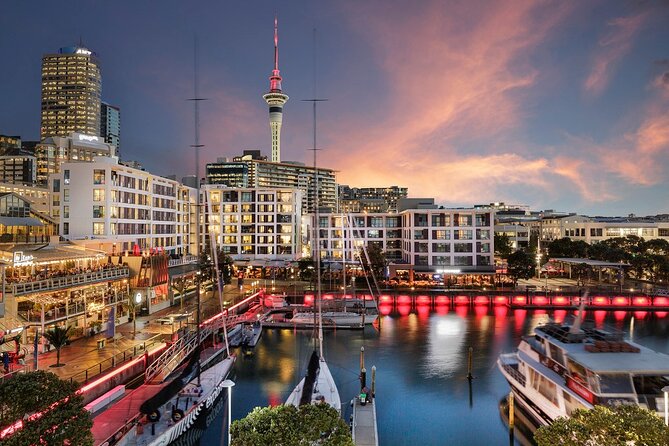 Arrival Private Transfer From Auckland Airport AKL to Auckland in Luxury Van - Traveler Information