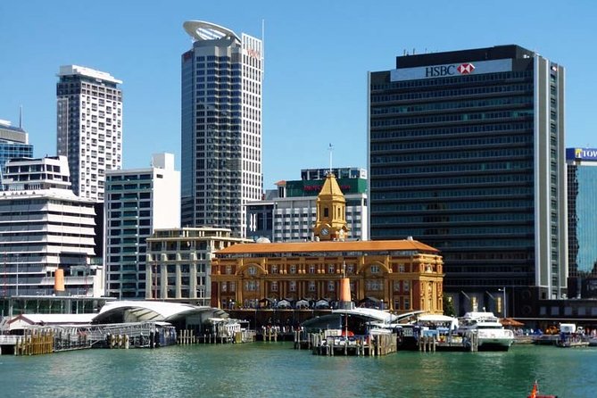 Arrival Private Transfer From Auckland Airport AKL to Auckland in Luxury Van - Vehicle Details
