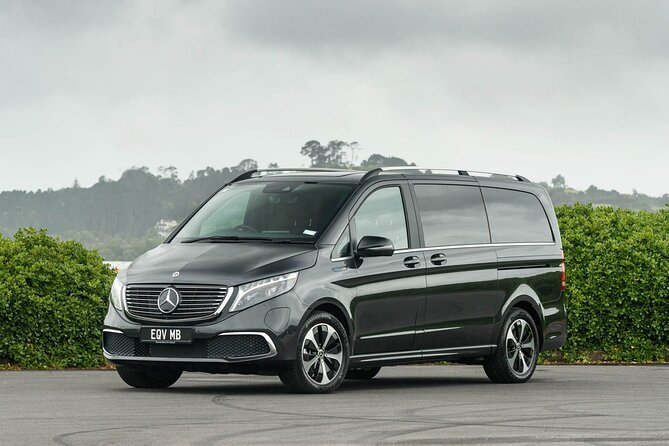 Arrival Private Transfer From Bergen Airport BGO to Bergen by Luxury Minivan - Key Points