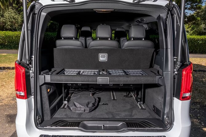 Arrival Private Transfer From Bergen Cruise Port to Bergen City by Luxury Van - Inclusions