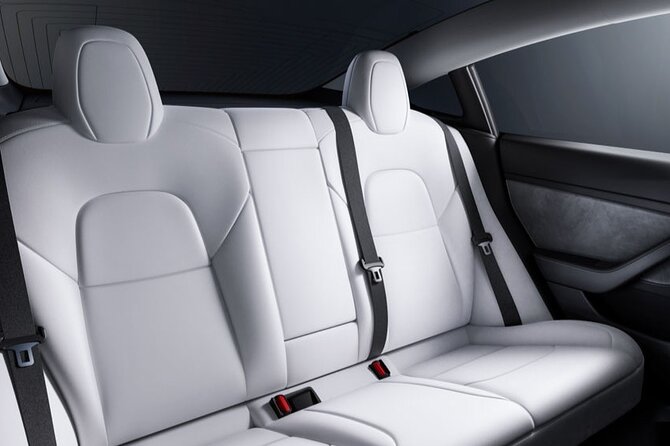 Arrival Private Transfer From Las Vegas Airport to Las Vegas by Electric Vehicle - Cancellation Policy