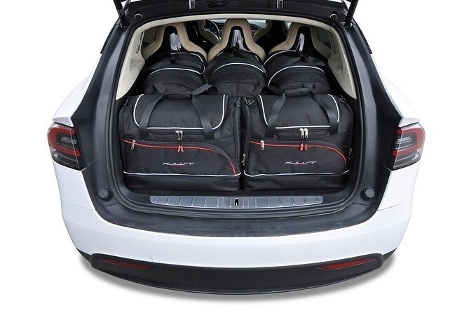Arrival Private Transfer From Las Vegas Airport to Las Vegas by Electric Vehicle - Arrival Experience