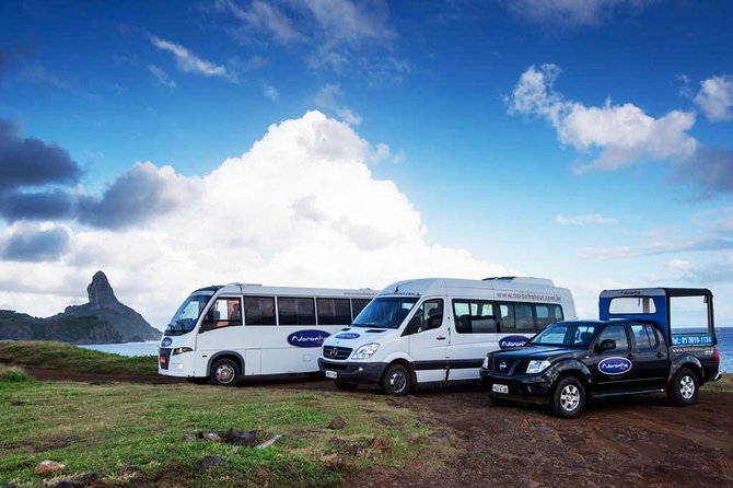 Arrival Private Transfer in Fernando De Noronha - Key Points