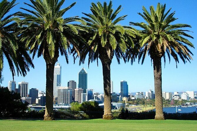 Arrival Private Transfer: Perth Airport PER to Perth City in Luxury Van - Safety and Hygiene Standards