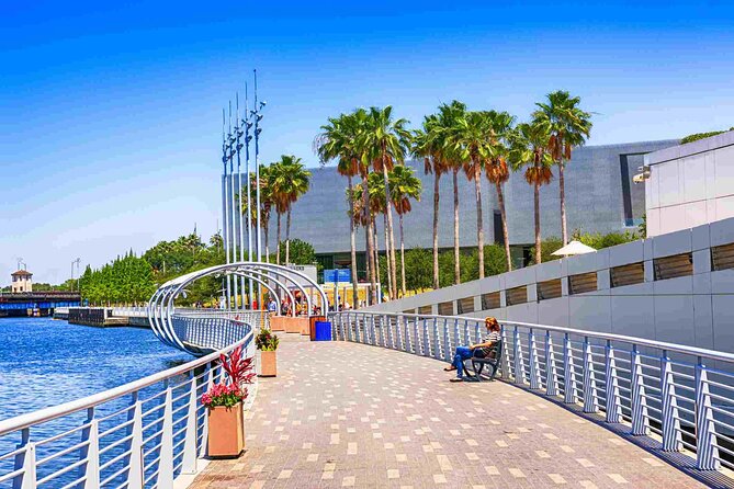 Arrival Private Transfer: Tampa Airport TPA to Tampa City in Luxury SUV - Accessibility and Age Restrictions