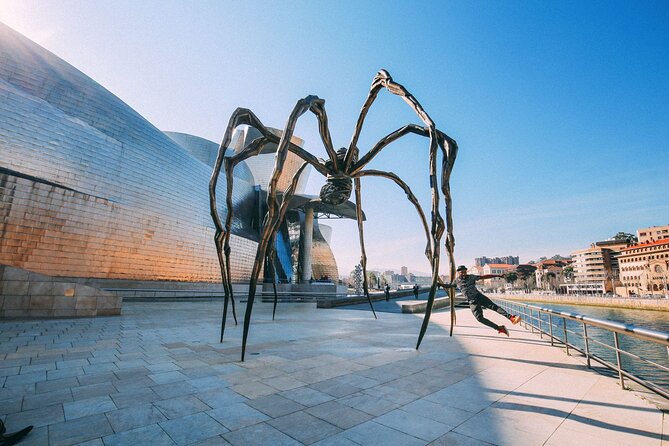 Arrival Private Transfers: Bilbao Airport BIO to Bilbao City in Luxury Van - Inclusions