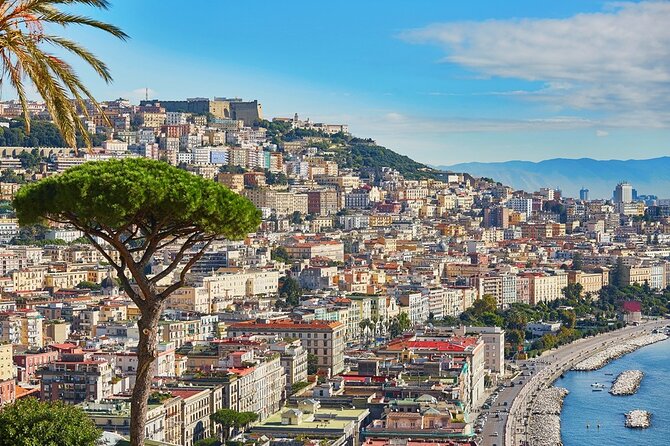 Arrival Private Transfers : Naples Airport NAP to Naples City in Business Car - Safety and Cleanliness Measures