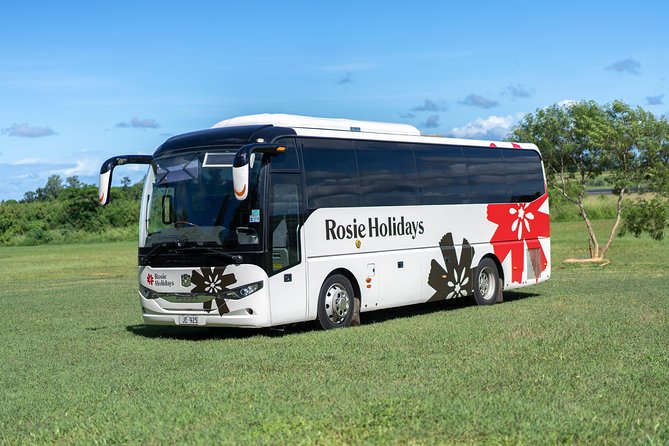 Arrival Shared Transfer : Airport to Hotel - Key Points