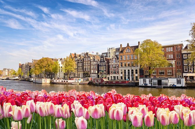 Arrival Transfer: Airport AMS to Amsterdam by Business Car - Customer Reviews and Ratings