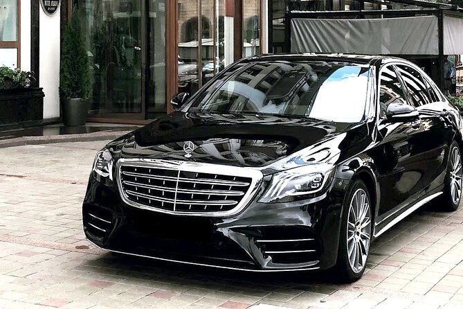 Arrival Transfer: Fiumicino Airport FCO to Rome by Luxury Car - Contact and Availability Information