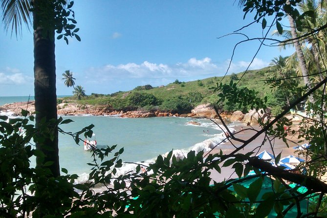 Arrival Transfer From Recife Airport to Cabo De Santo Agostinho - Whats Included in the Service