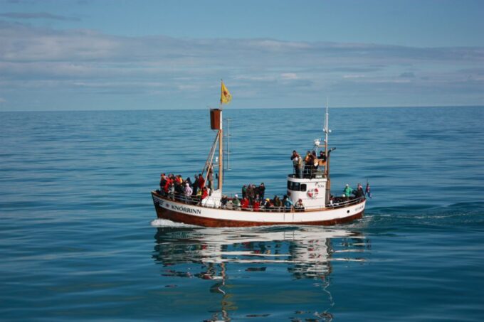 Árskógssandur: Whale-Watching Boat Trip - Frequently Asked Questions