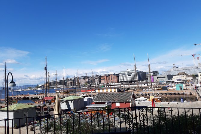 Art and Museum Tour of Oslo - Flexibility to Customize the Experience