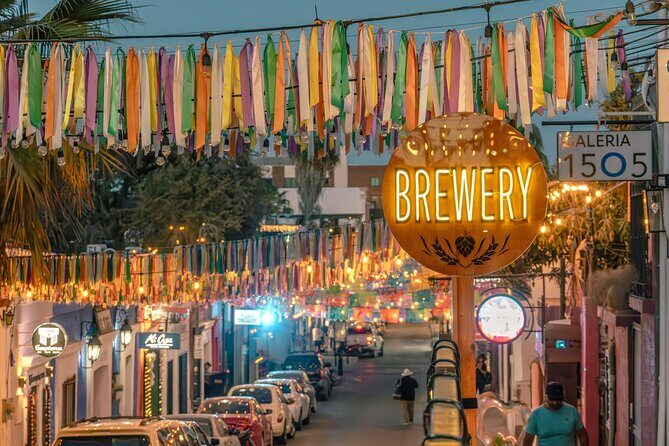 Art and Wine Evening City tour in San Jose del Cabo for Adults - Frequently Asked Questions (FAQs)