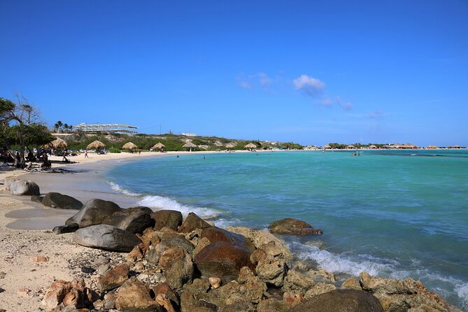 Art, Beach and Culture Island Tour With Kini Kini - Customer Feedback and Ratings