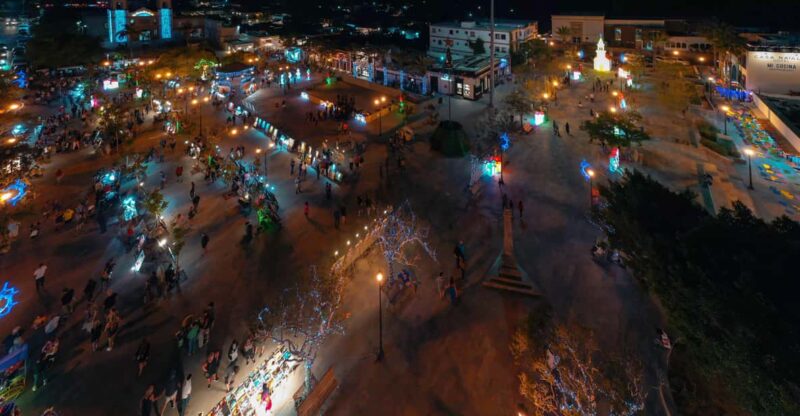 Art & Beer Tasting in San José Del Cabo - Key Points