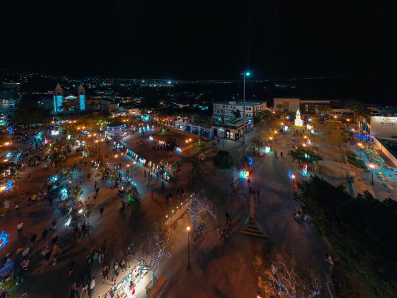 Art & Beer Tasting in San José Del Cabo - Transportation & Guide