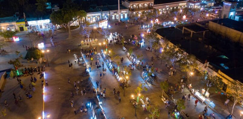Art & Beer Tasting in San José Del Cabo - Important Information