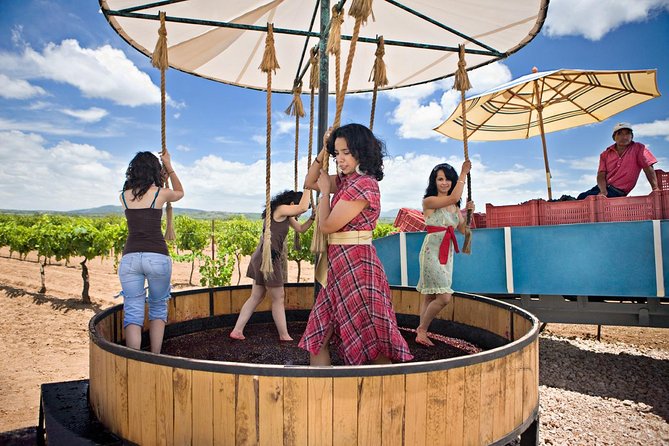 Art, Cheese and Wine Experiences Tour Route Rio Tequisquiapan - How to Book Your Tour