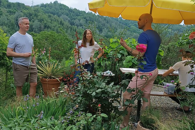 Art Classes in Monferrato Hills - Experience Details