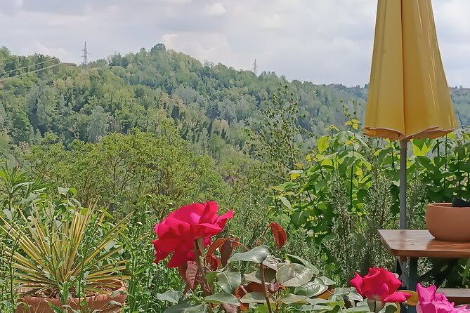 Art Classes in Monferrato Hills - Accessibility and Participation