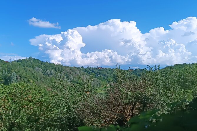 Art Classes in Monferrato Hills - Immersive Art Environment