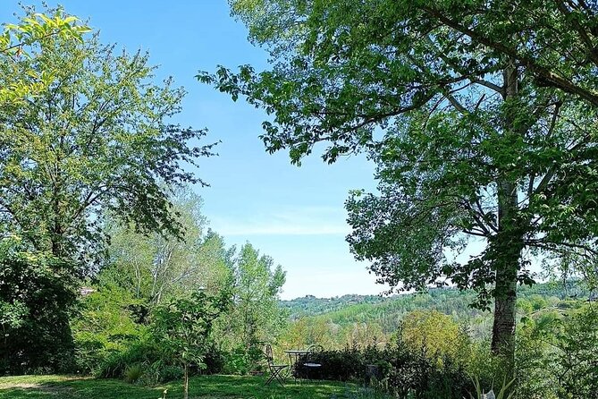 Art Classes in Monferrato Hills - Exploring Local Cuisine