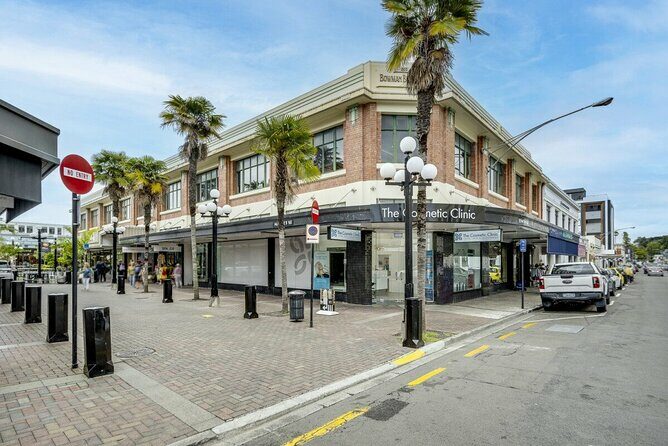 Art Deco Walking Private Tour from Napier Cruise Port - Who Will Benefit Most from This Tour?