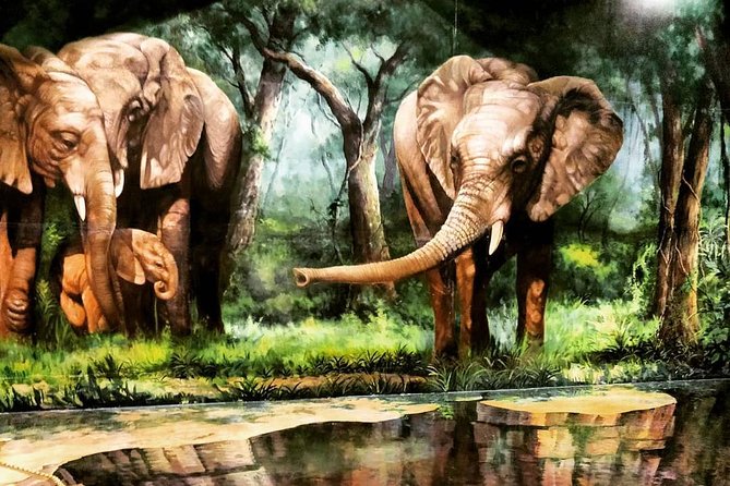 Art in Paradise Pattaya Admission Ticket - Visitor Information and Requirements