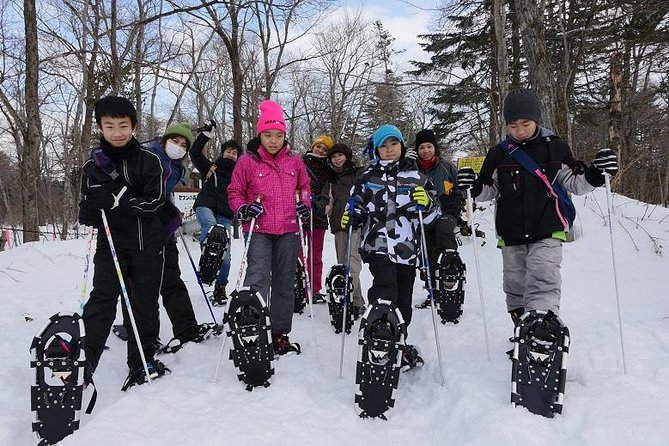 Art of Ice 'Nanajo Shichijo Otaki Snowshoe Tour Difficulty (Medium) - Difficulty Level