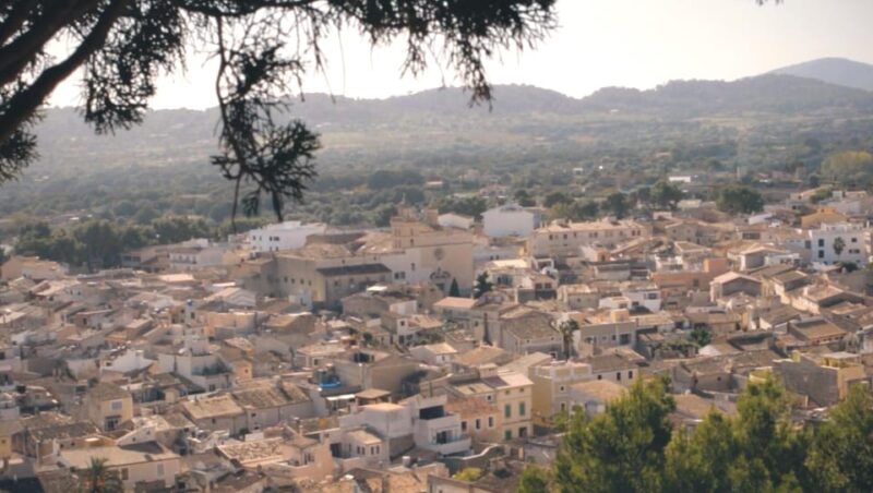 Arta Caves and Market Excursion - Caves of Artà Experience