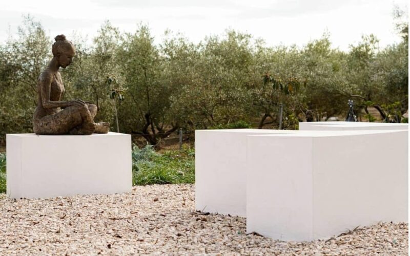 Arte-Contemporary: Sculpture Park and Art Gallery Visit - Visitor Information