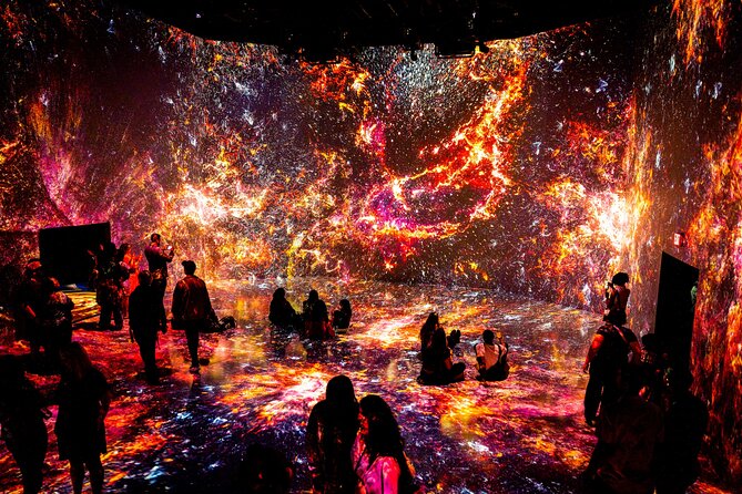 ARTECHOUSE DC Immersive Art Experience With Reserved Entry Time - Key Points