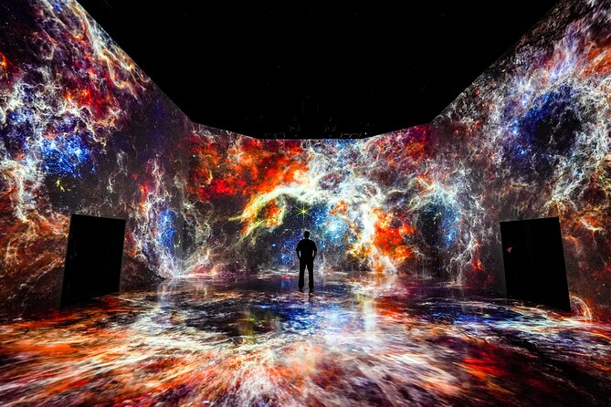 ARTECHOUSE DC Immersive Art Experience With Reserved Entry Time - Visitor Reviews