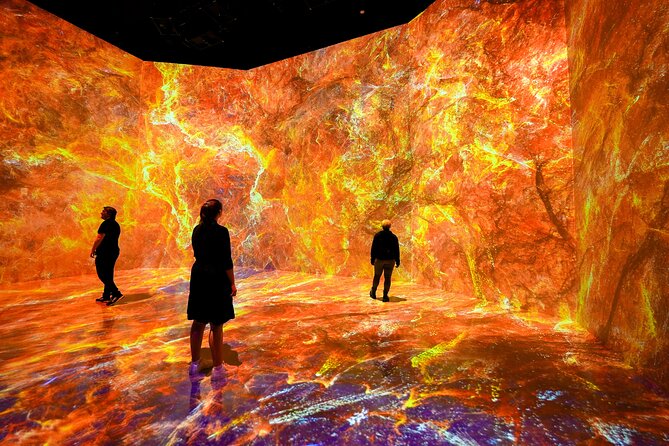 ARTECHOUSE DC Immersive Art Experience With Reserved Entry Time - Recommendations and Booking