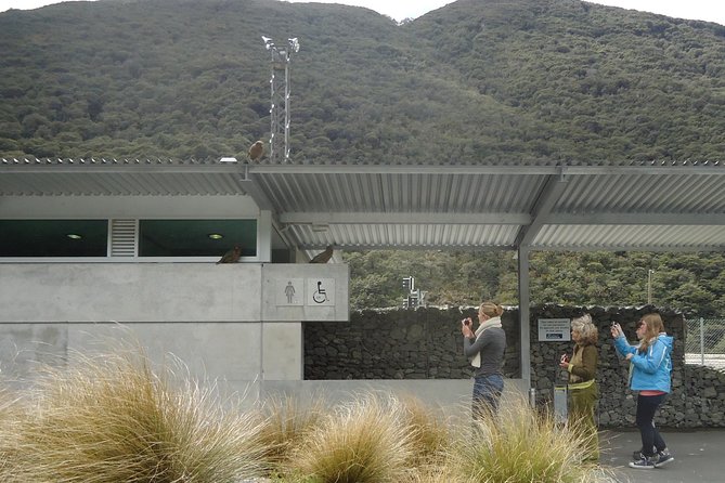 Arthurs Pass and Southern Alps Day Excursion From Port Lyttelton or Christchurch - Reviews