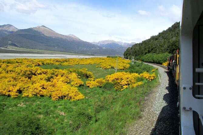 Arthurs Pass and Tranzalpine Train Day Tour From Christchurch - Guided Exploration of Arthurs Pass