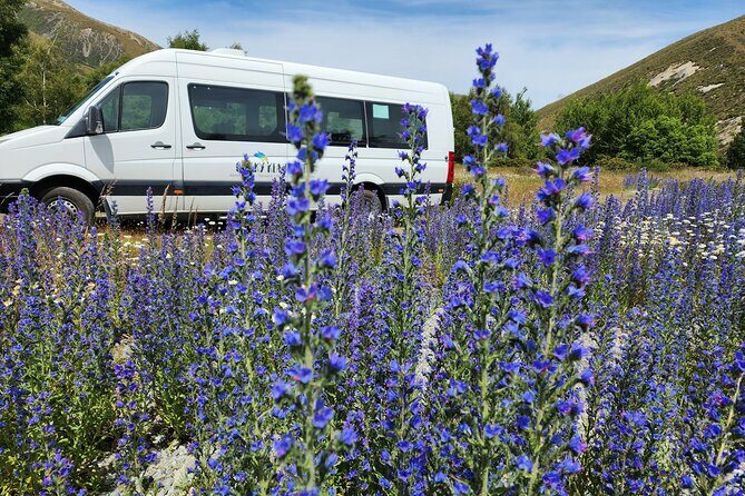 Arthurs Pass Tour From Christchurch With Jet Boat & TranzAlpine - Exploring the Full Experience