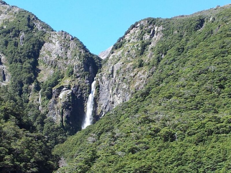 Arthurs Pass: TranzAlpine Train and Castle Hill Day Tour - Inclusions