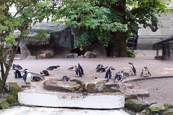 Artis Royal Zoo Tickets in Amsterdam - Whats Included